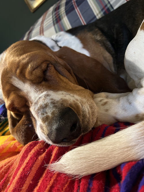 Charlie photo 4