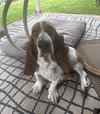 Charlie