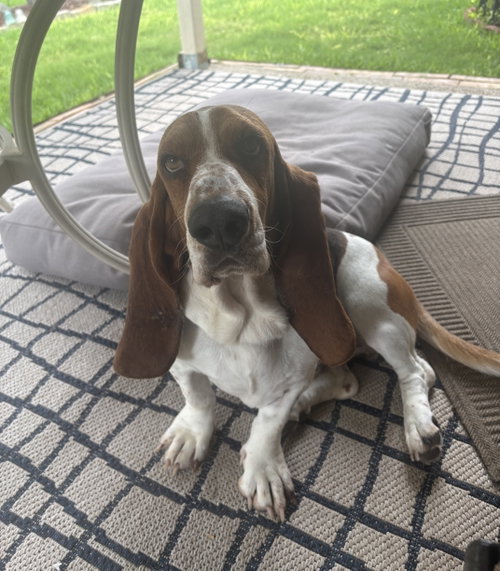 Charlie