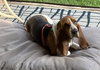 Charlie