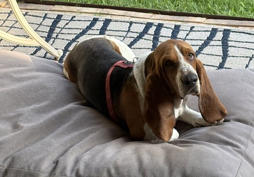 Charlie photo 5