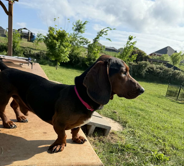 Theodore aka Theo