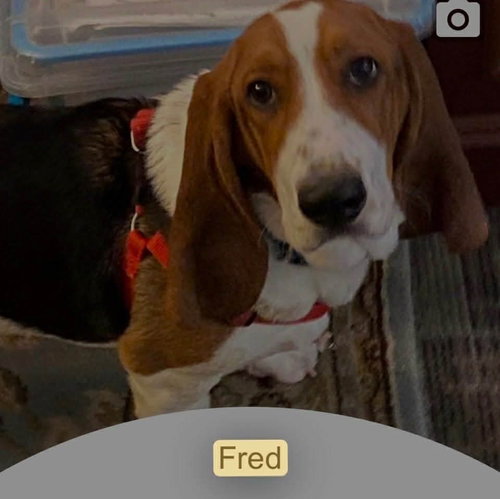 Fred