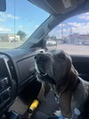 Omar aka Buddy