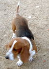 Molly 2