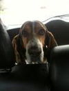 Roscoe P Coltrane