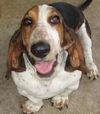 Rudy