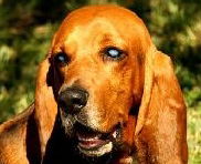 Rusty
