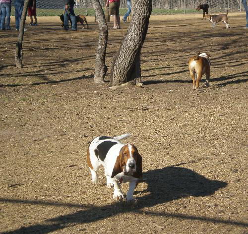 Rupert