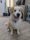 Darwin