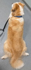 Darwin