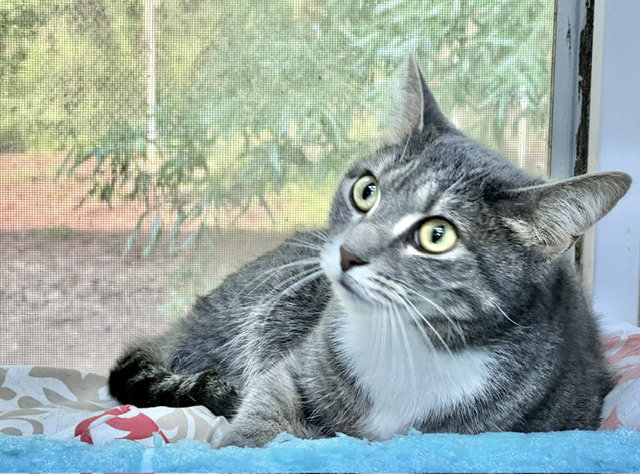 Vicky, photo 18