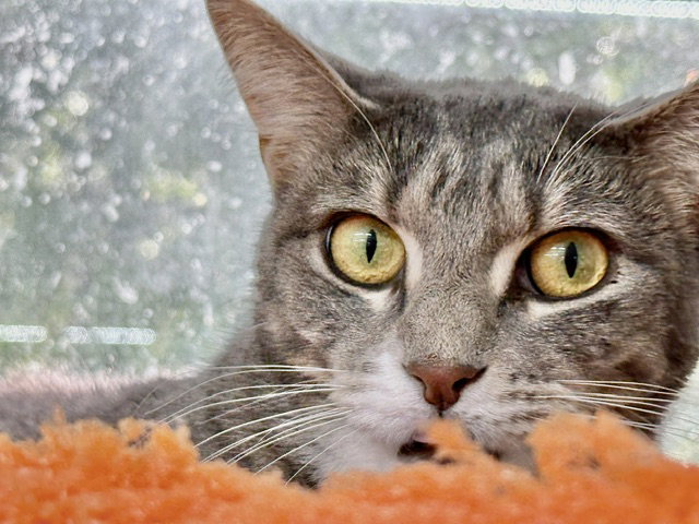 Vicky, photo 19