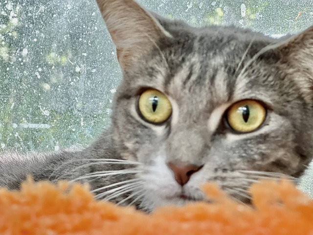 Vicky, photo 21