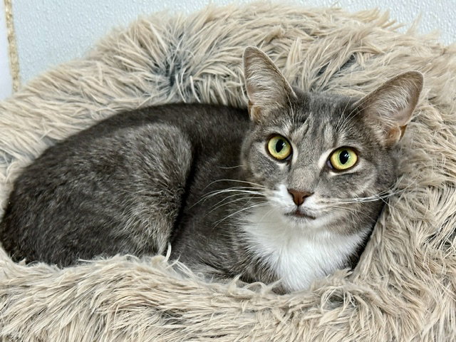 Vicky, photo 22