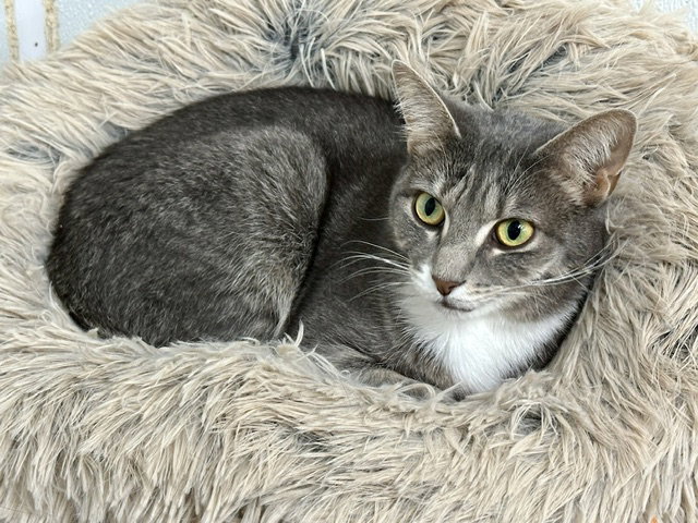Vicky, photo 23