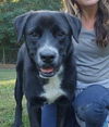 Bronx *Adoption Pending*