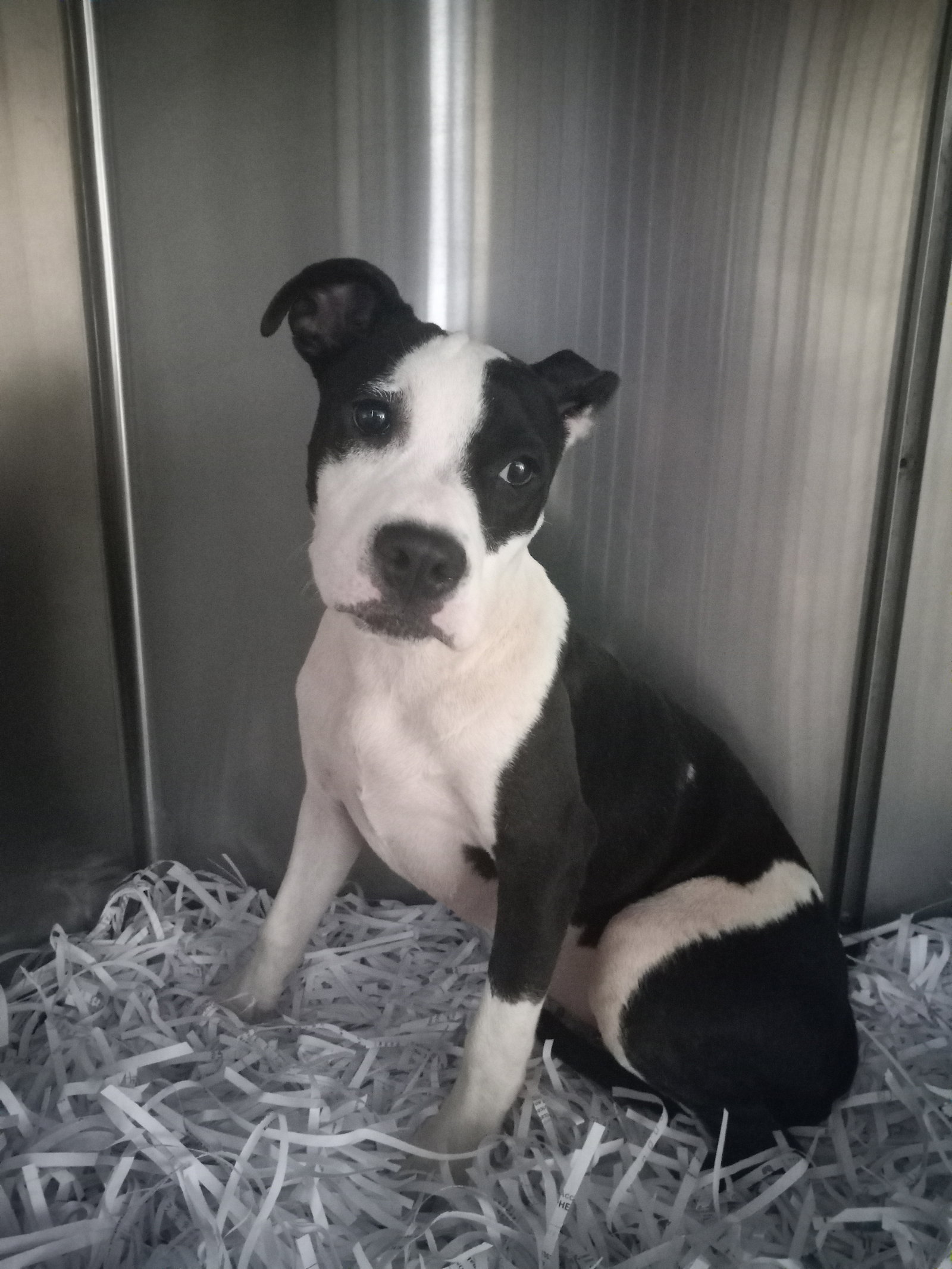 Lilith aka Lily, photo 25