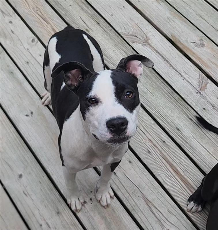 Lilith aka Lily, photo 18