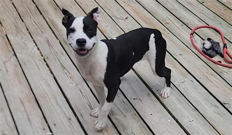 Lilith aka Lily, photo 24