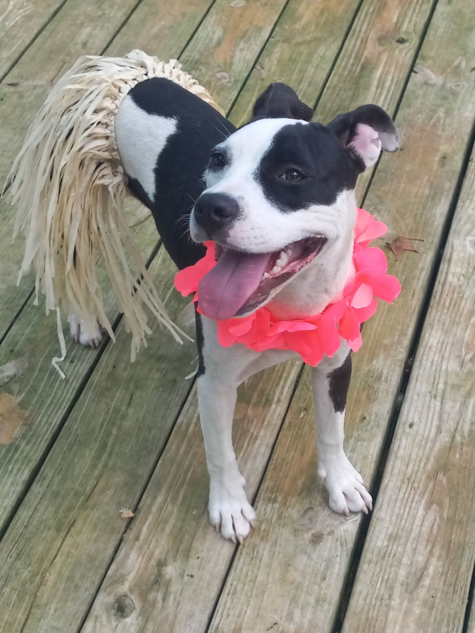 Lilith aka Lily, photo 19