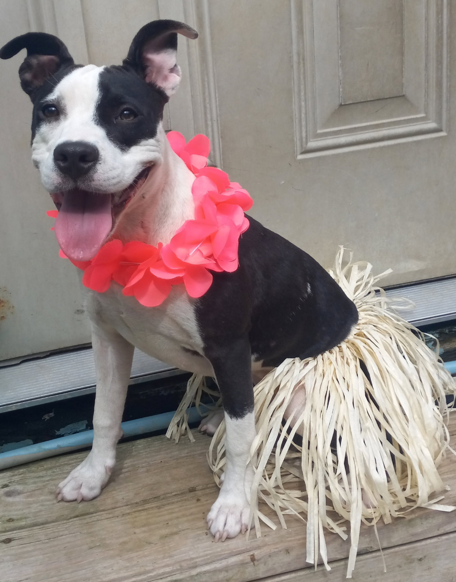 Lilith aka Lily, photo 17