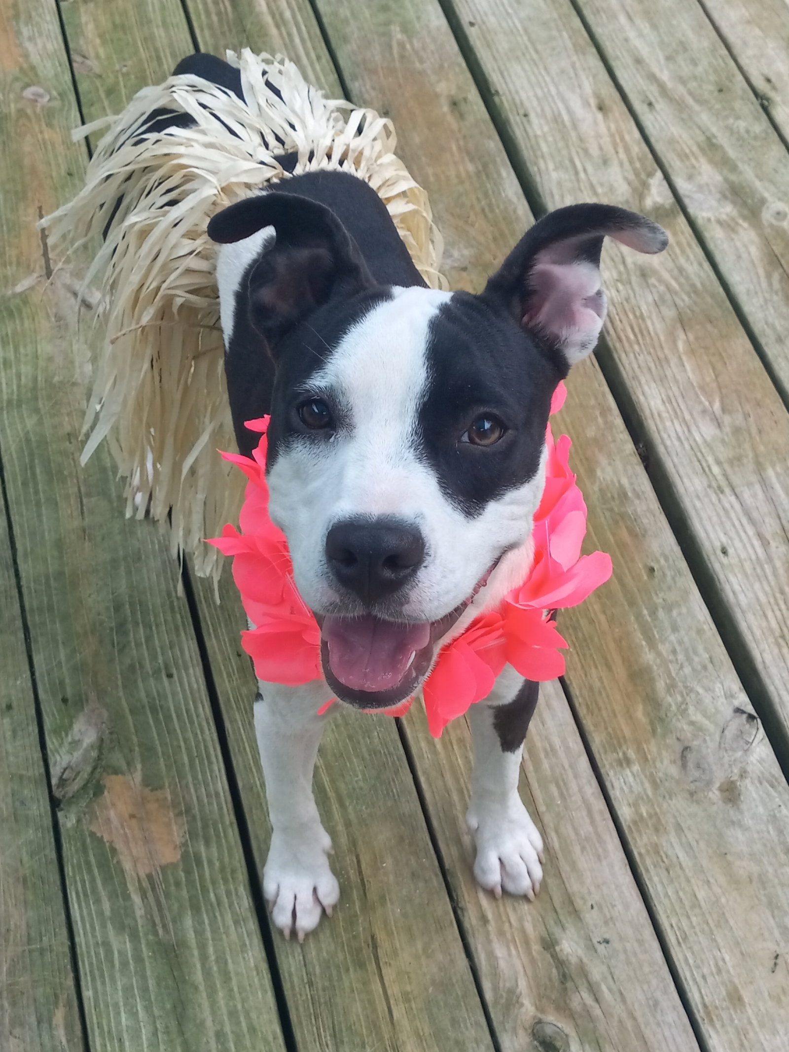 Lilith aka Lily, photo 20