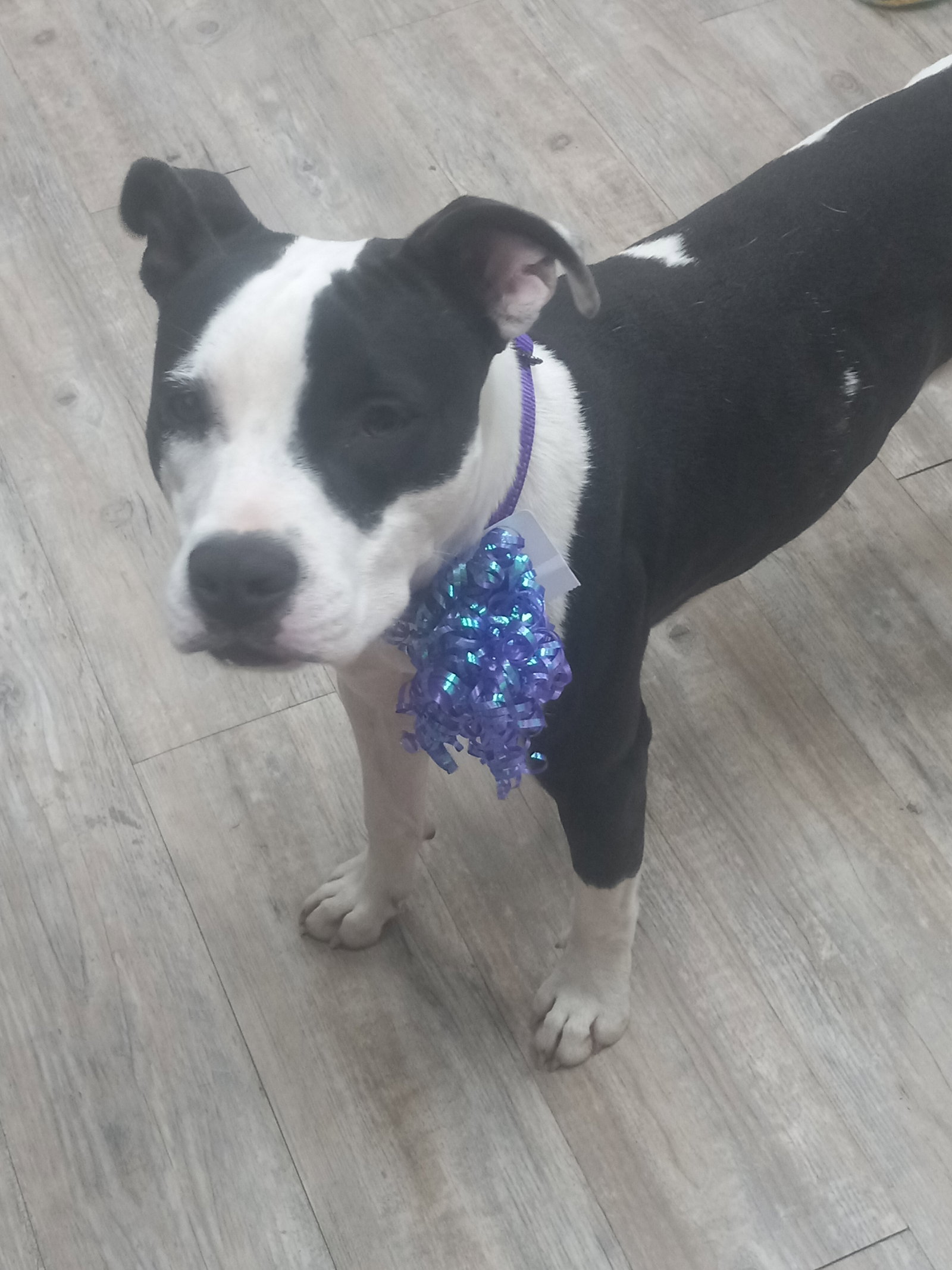 Lilith aka Lily, photo 13