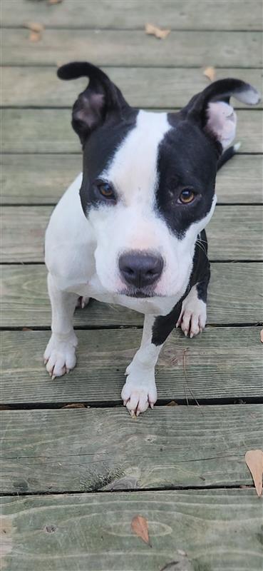 Lilith aka Lily, photo 7