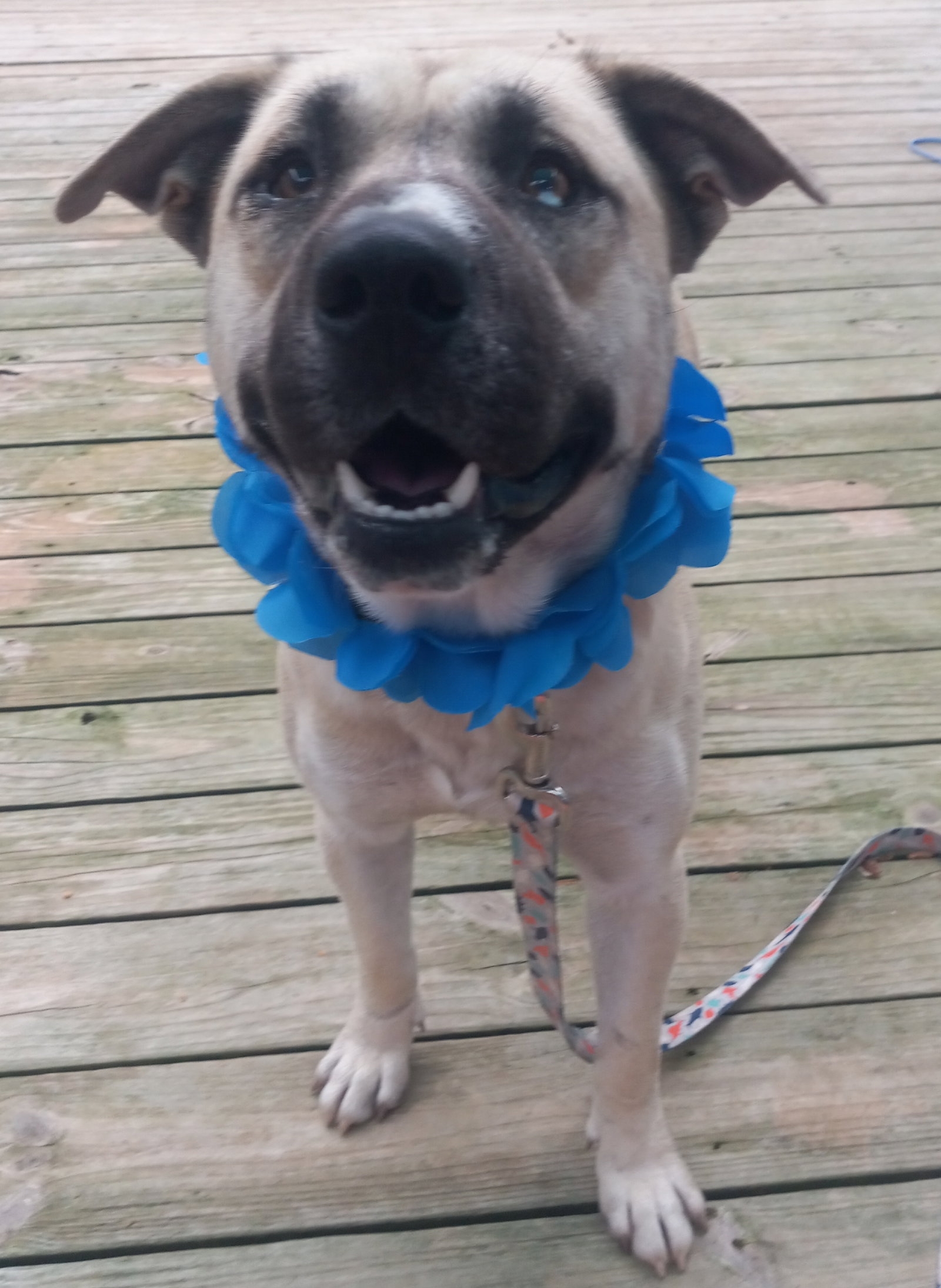 Jacoby, photo 24