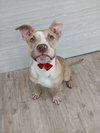 Marley *Available soon*
