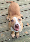 Marley