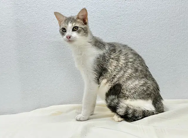 Walter Aka Wally image 3