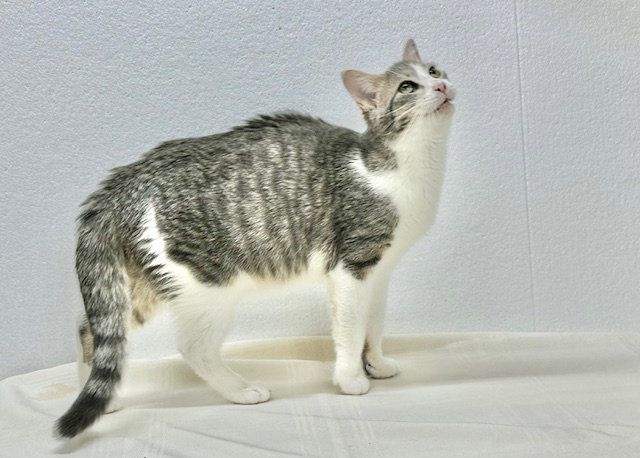 Walter (aka Wally), photo 9