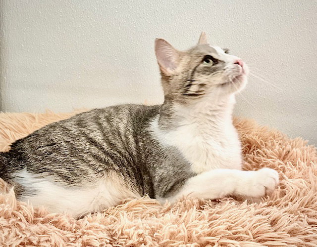Walter (aka Wally), photo 14