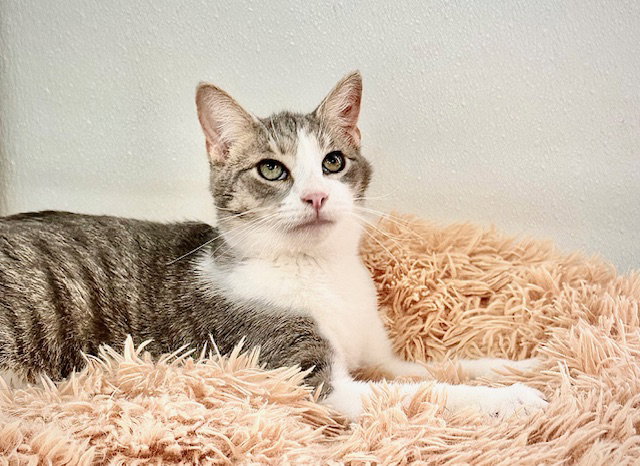 Walter (aka Wally), photo 16