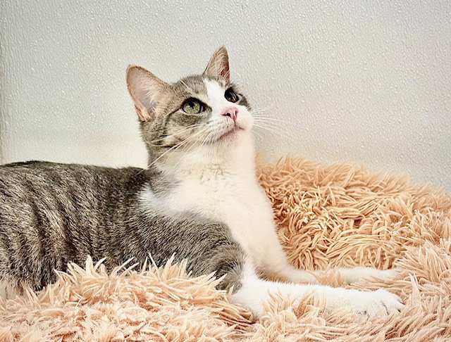 Walter (aka Wally), photo 17