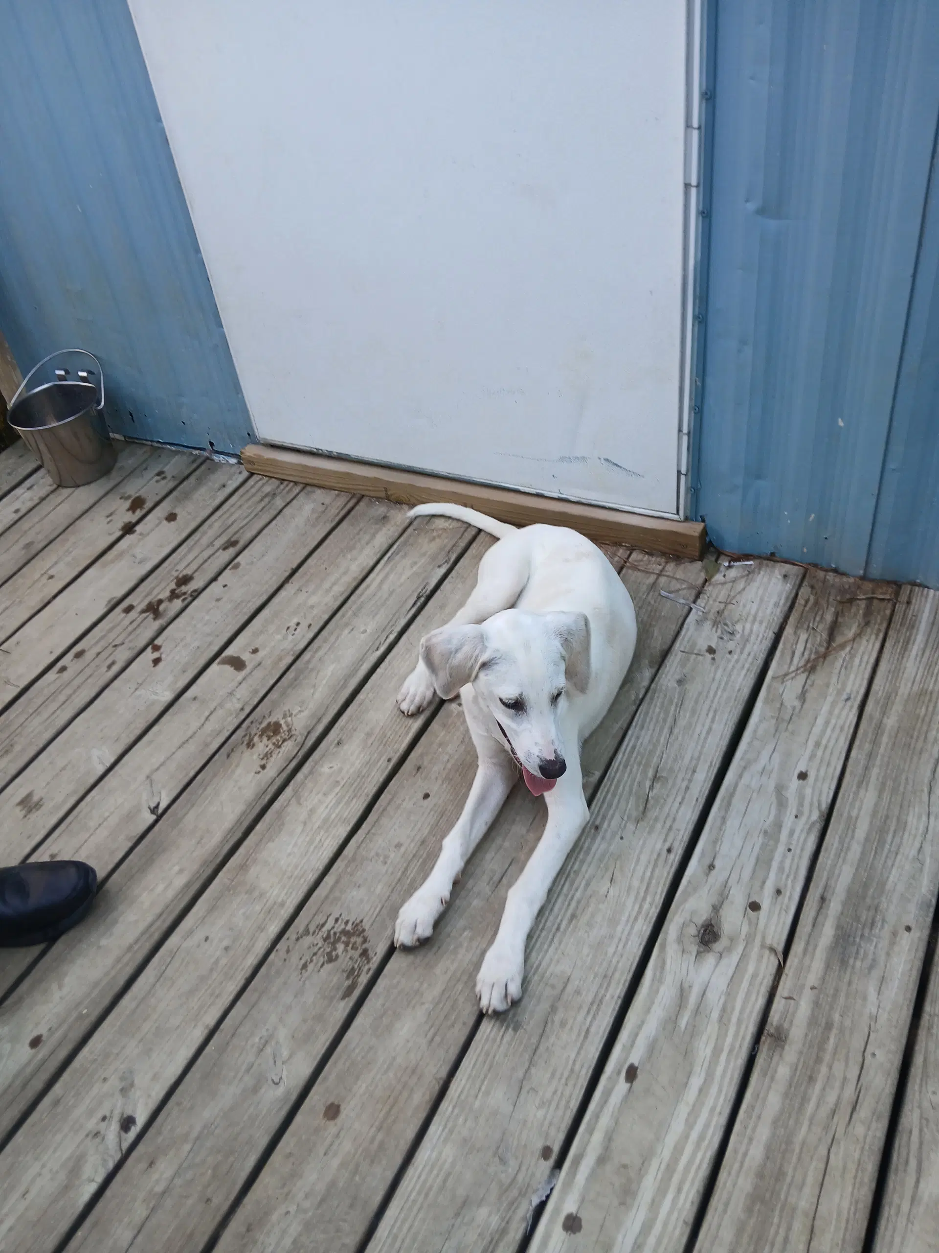 Otis image 3