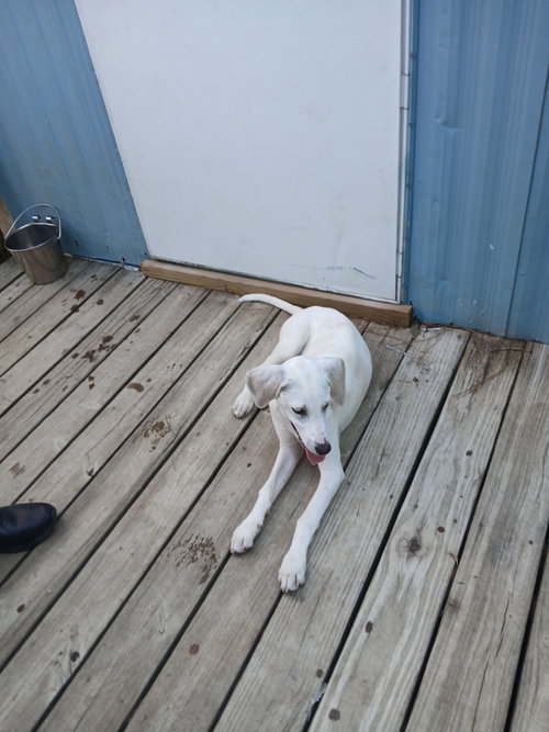 Otis photo 10