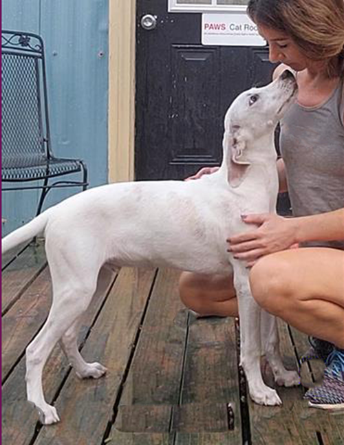 Otis photo 4