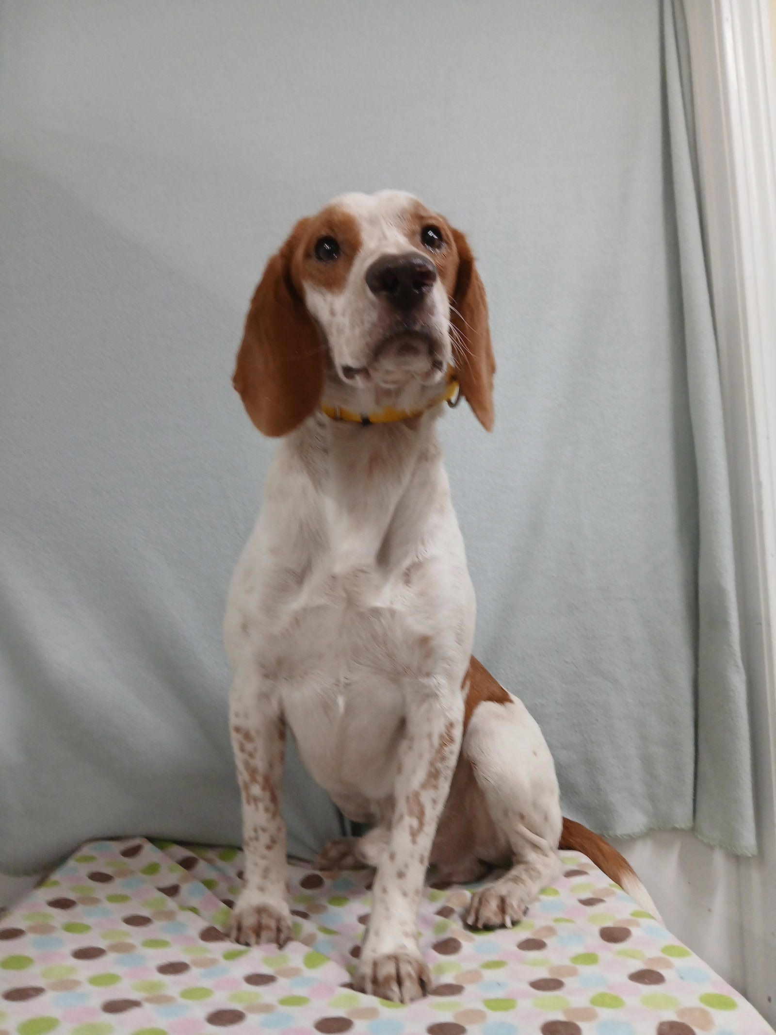 Elroy, photo 13