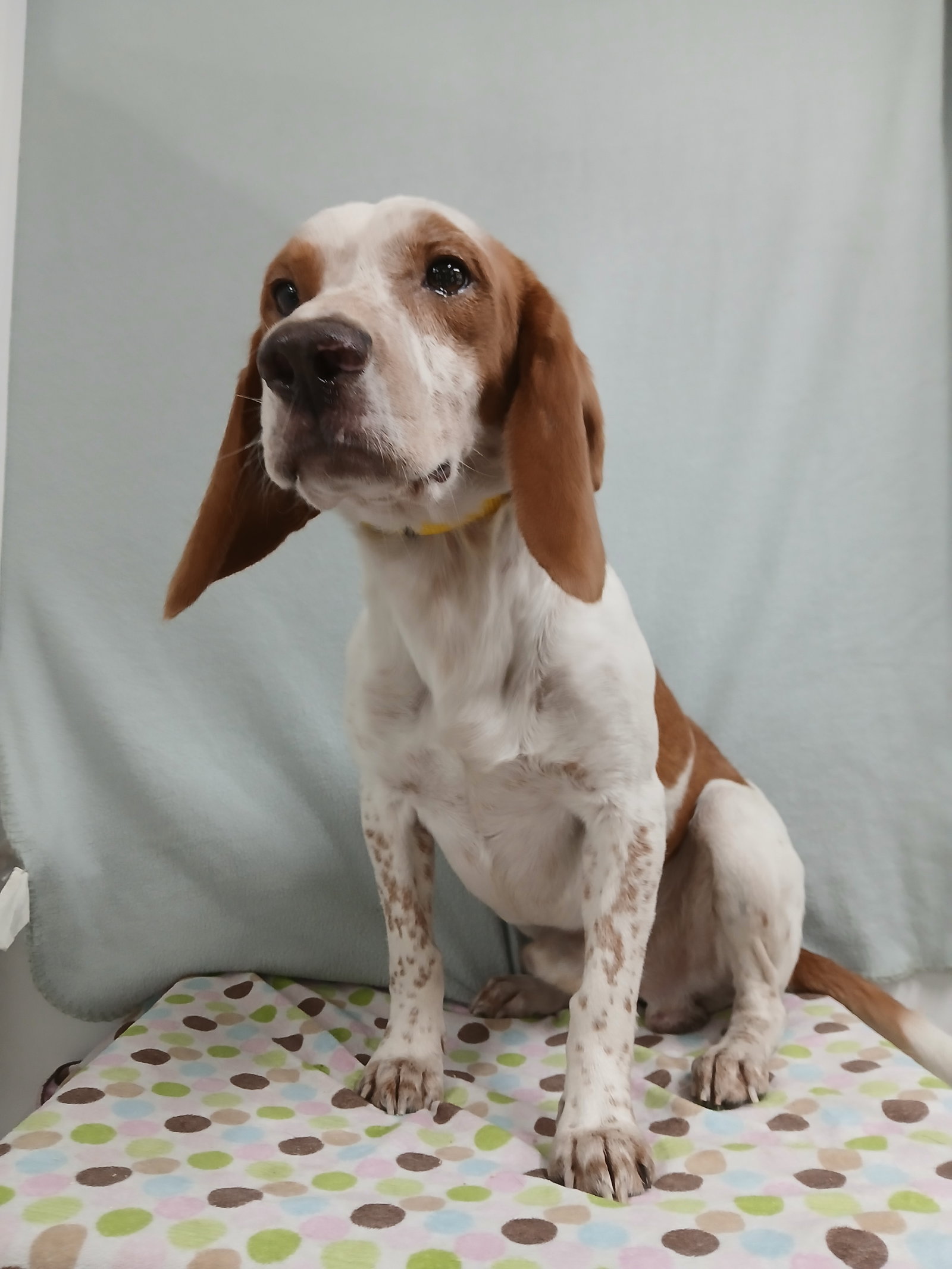 Elroy, photo 15
