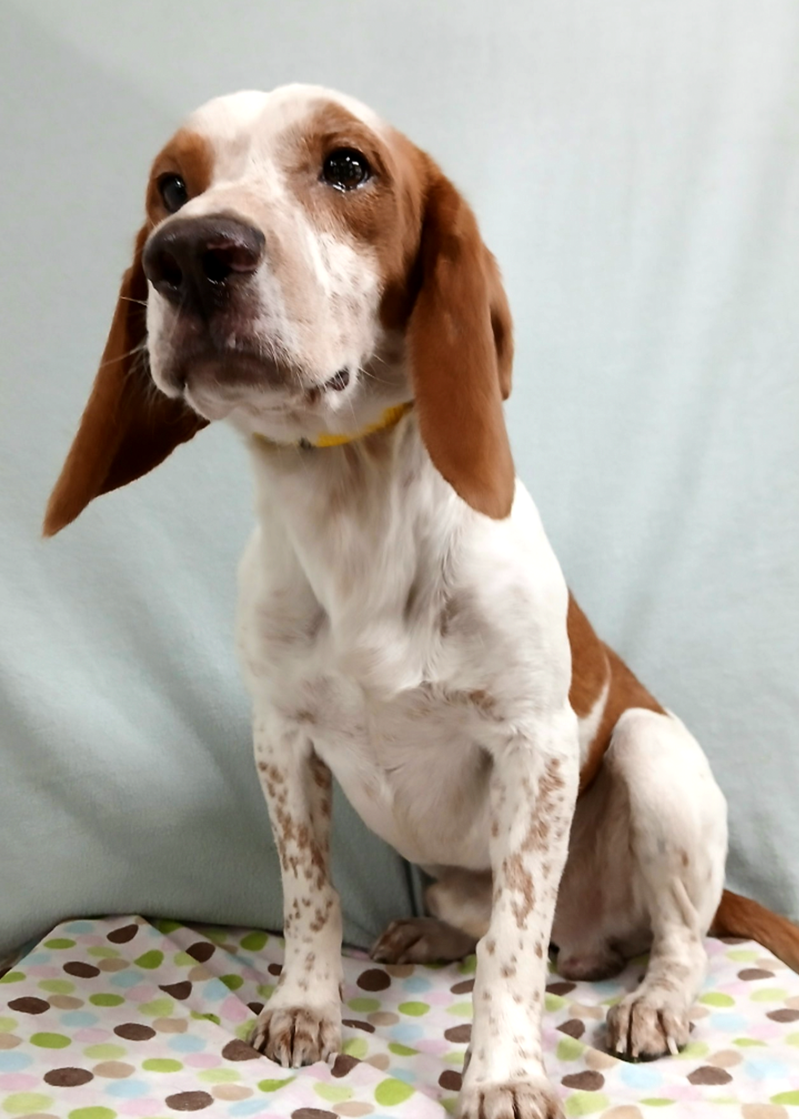 Elroy, photo 2