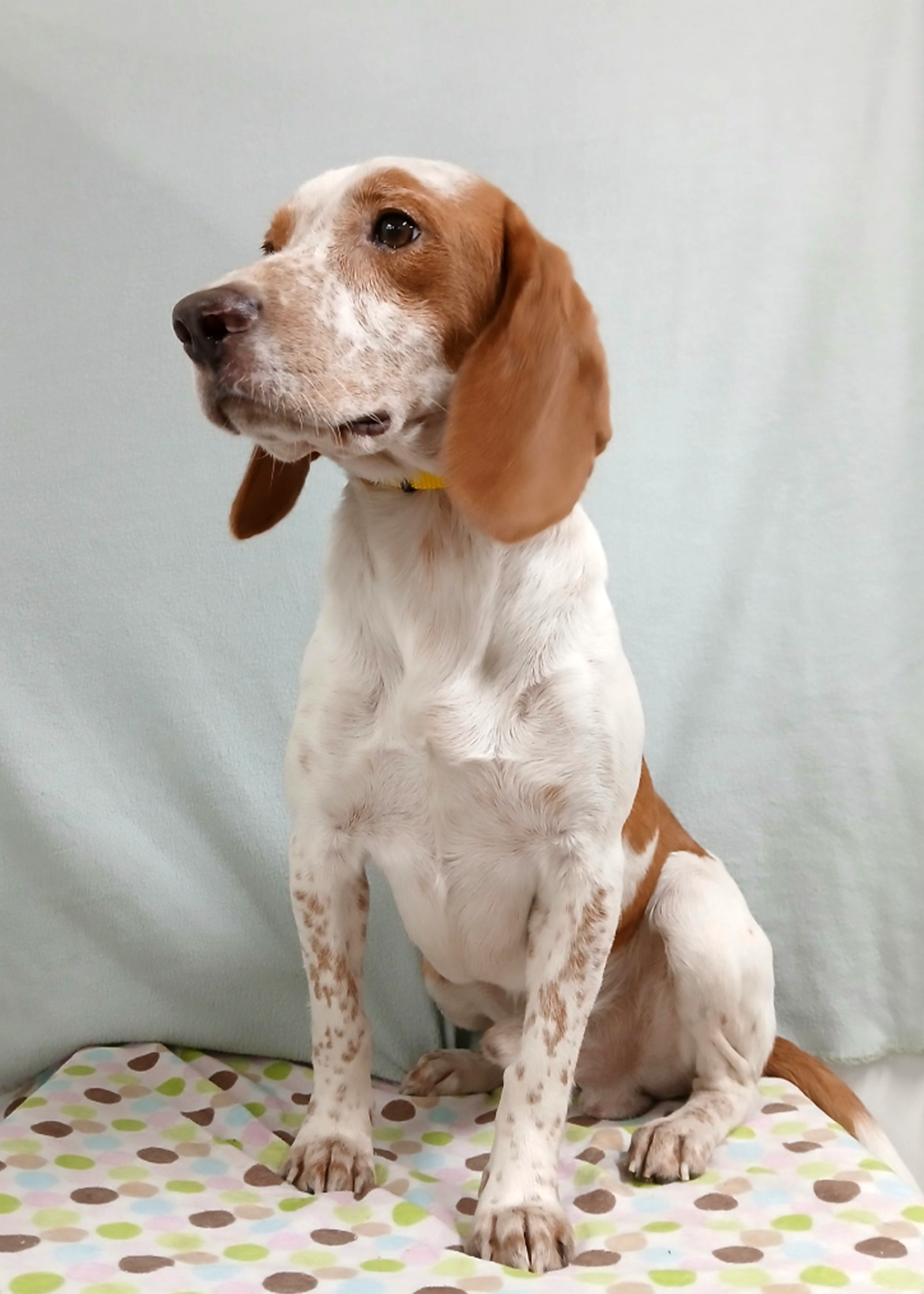 Elroy, photo 6