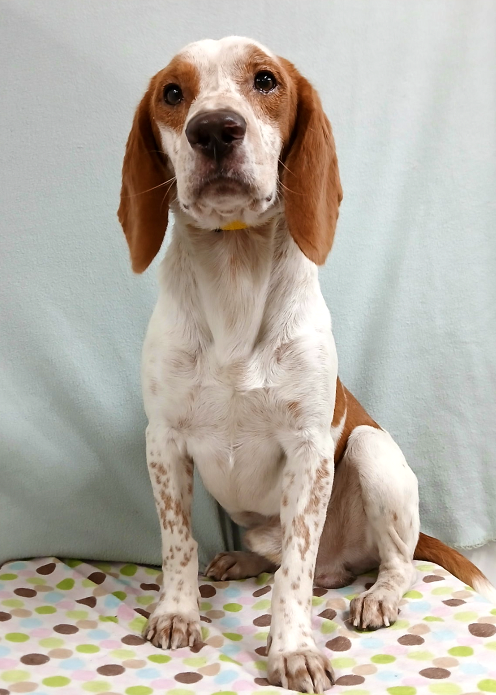 Elroy, photo 5