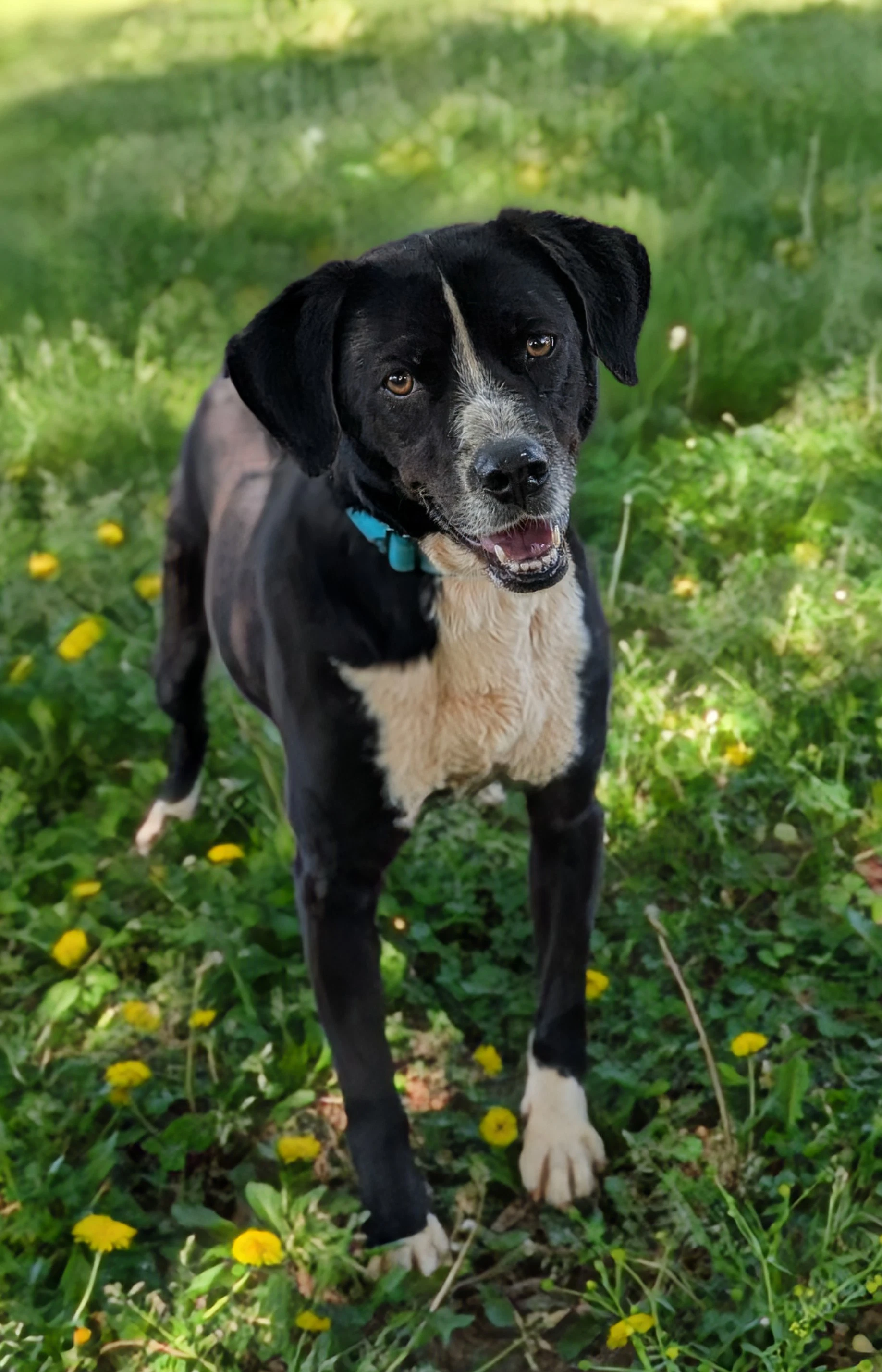 Oakley