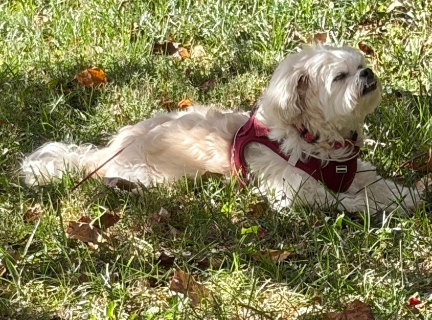 Gabby, photo 2