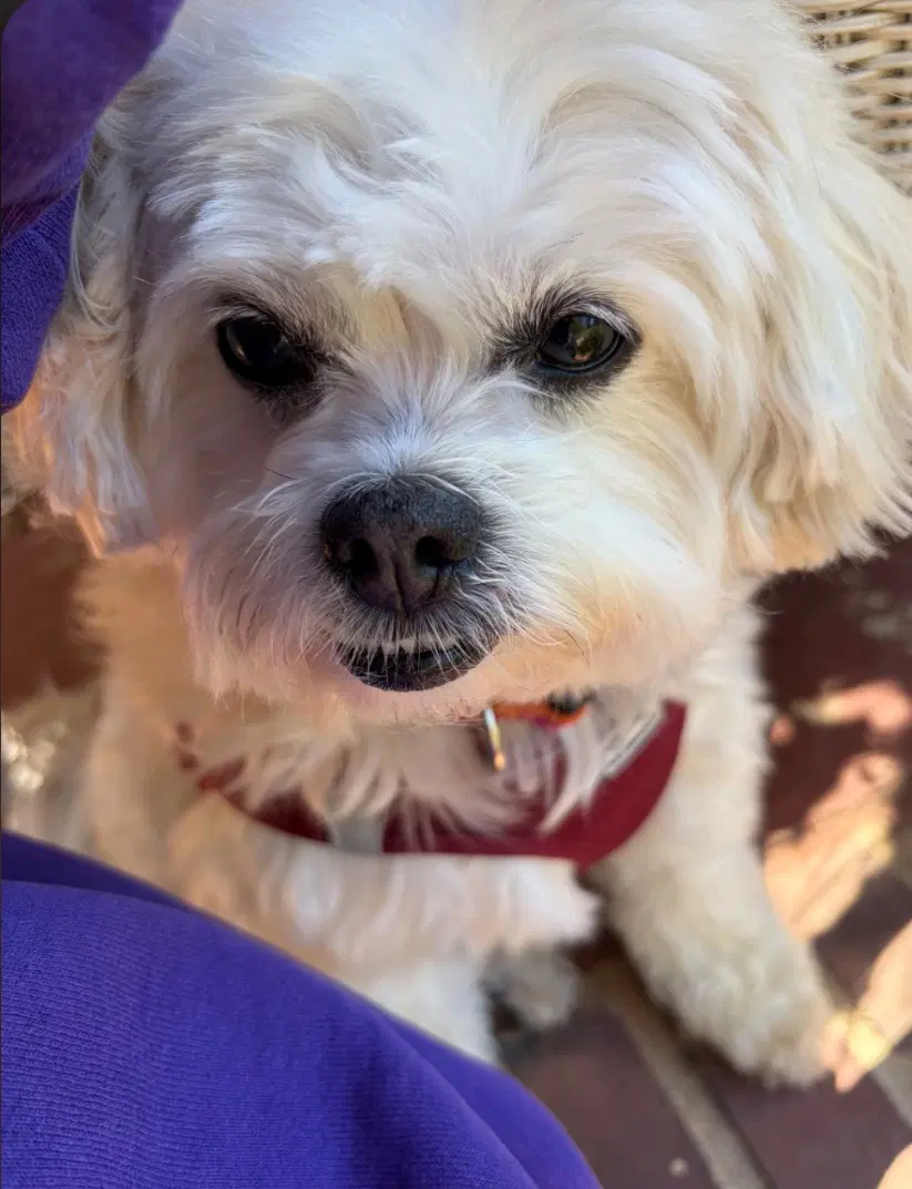 Gabby image 3