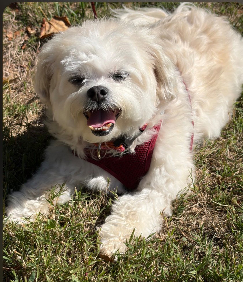 Gabby, photo 4