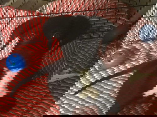 Nitro